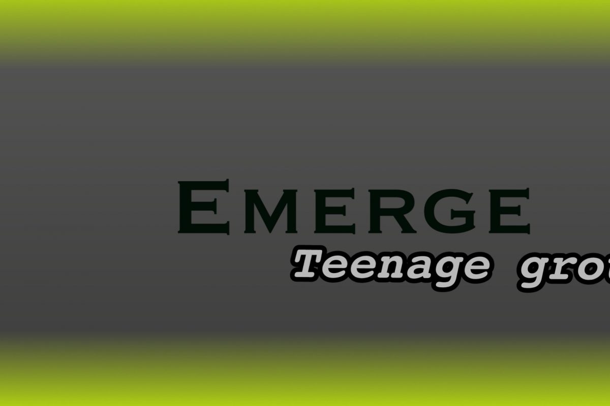 Emerge Group Emerge Group